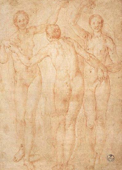 Jacopo Pontormo Three Graces oil painting image